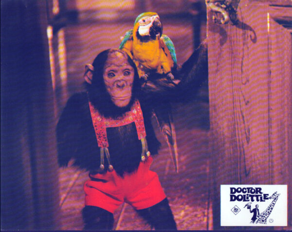 Doctor Dolittle - Image 4