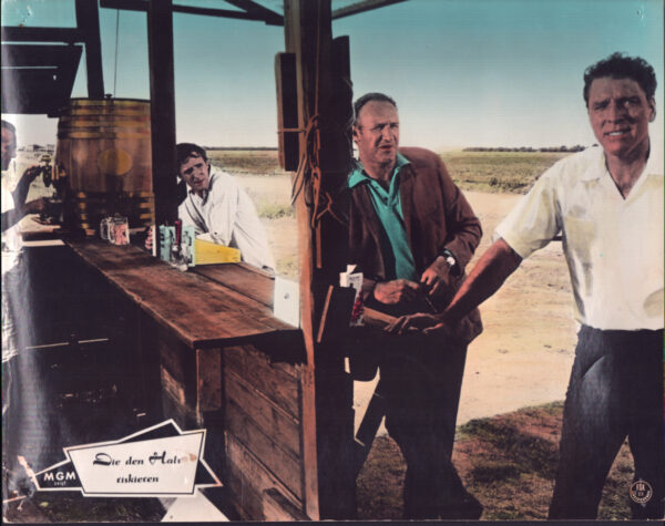 Thze Gypsy Moths (Burt Lancaster) - Image 24