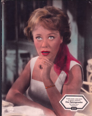 Spinngewebe, das (Agatha Christie)