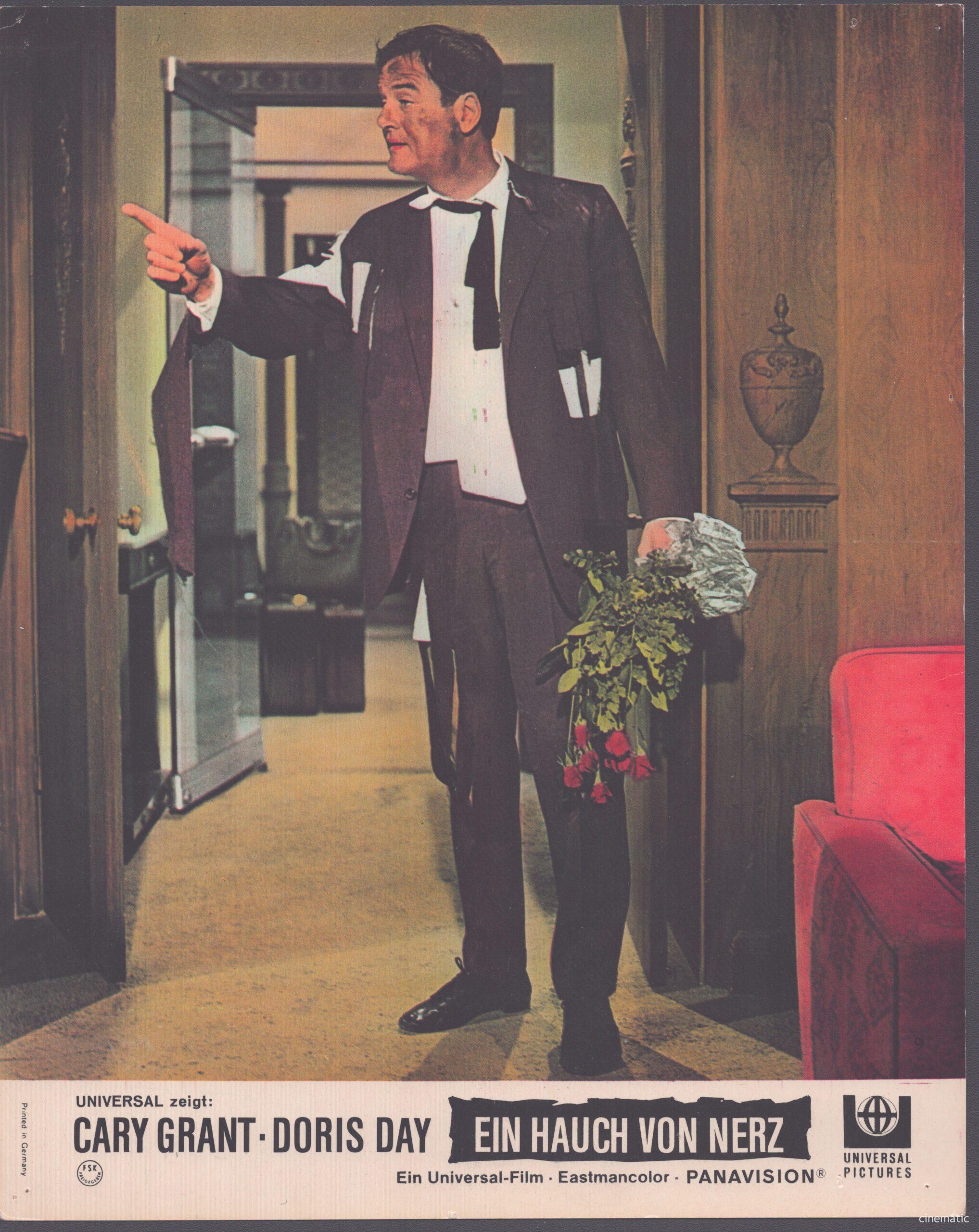Hauch von Nerz, ein (Doris Day, Cary Grant) – Bild 20