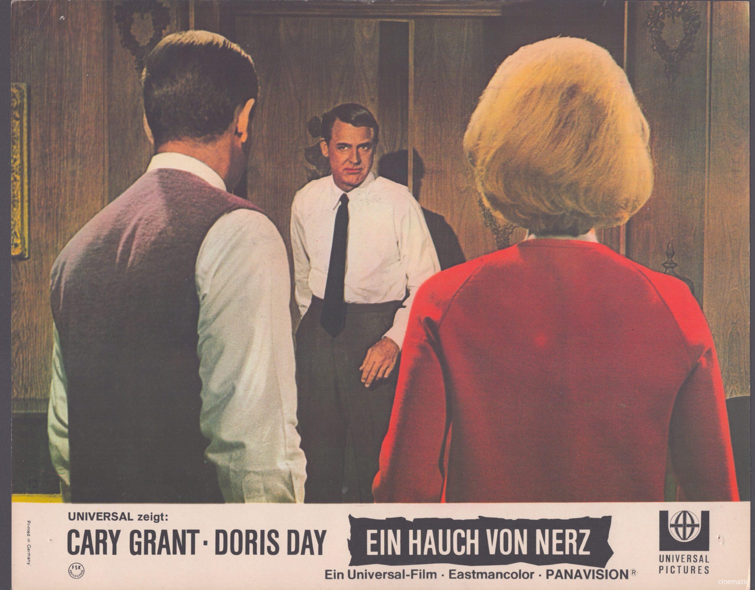 Hauch von Nerz, ein (Doris Day, Cary Grant) – Bild 19