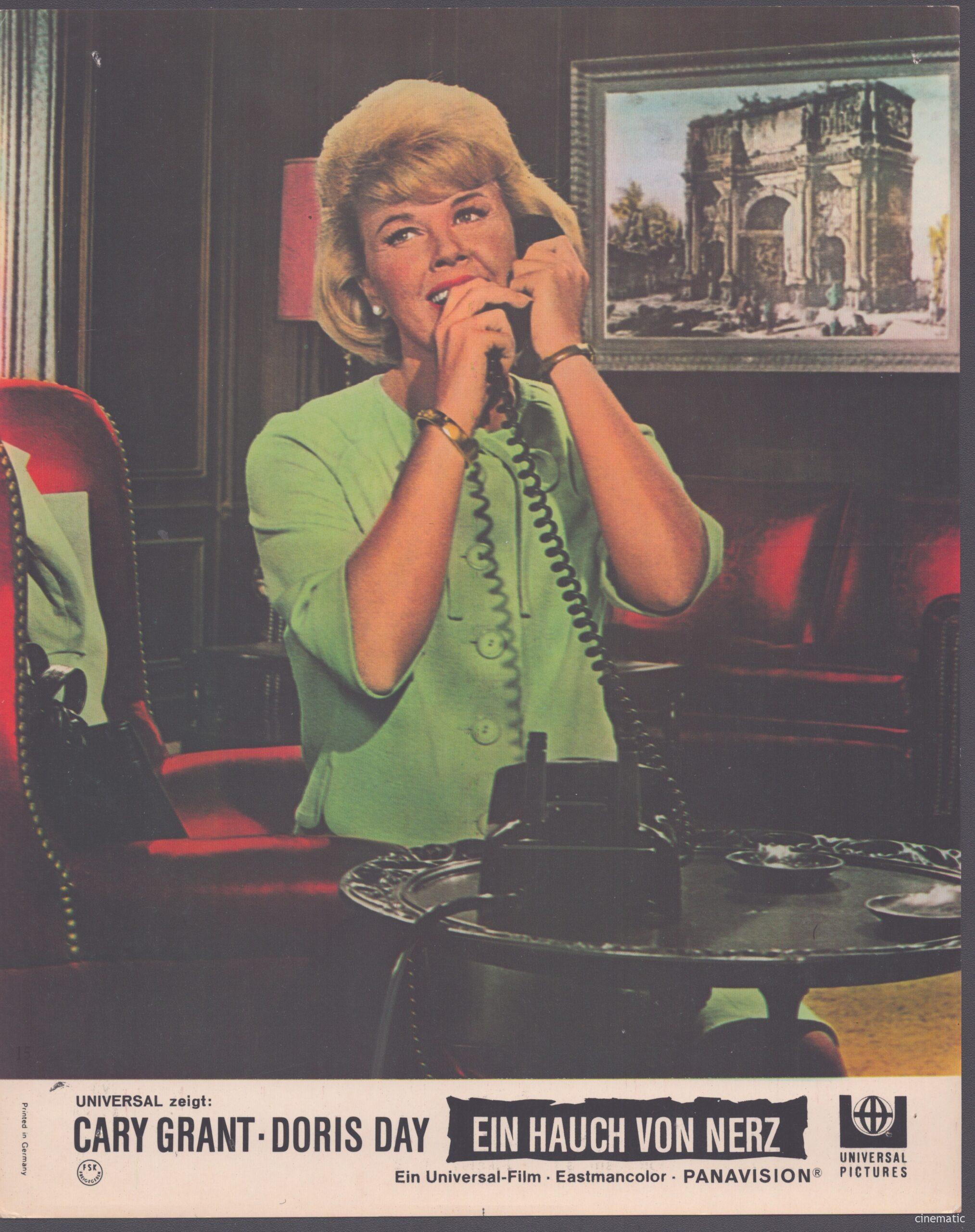 Hauch von Nerz, ein (Doris Day, Cary Grant) – Bild 17