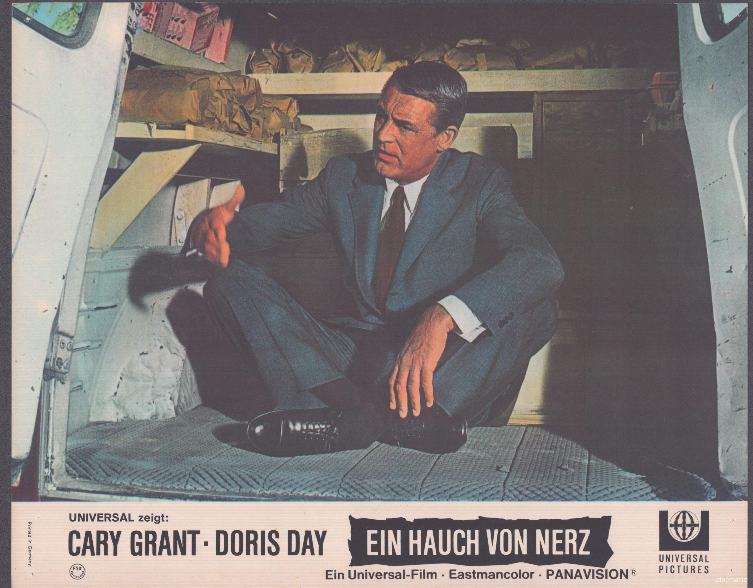 Hauch von Nerz, ein (Doris Day, Cary Grant) – Bild 16