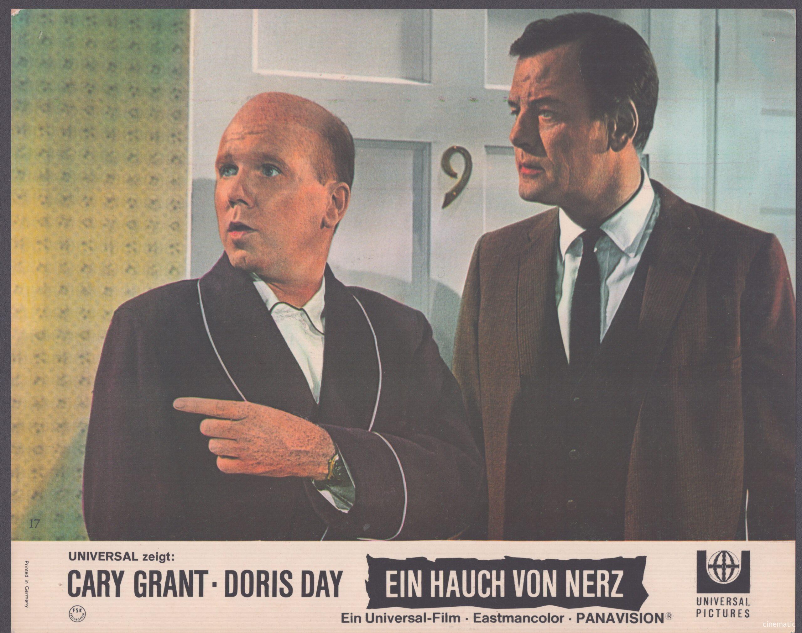 Hauch von Nerz, ein (Doris Day, Cary Grant) – Bild 15