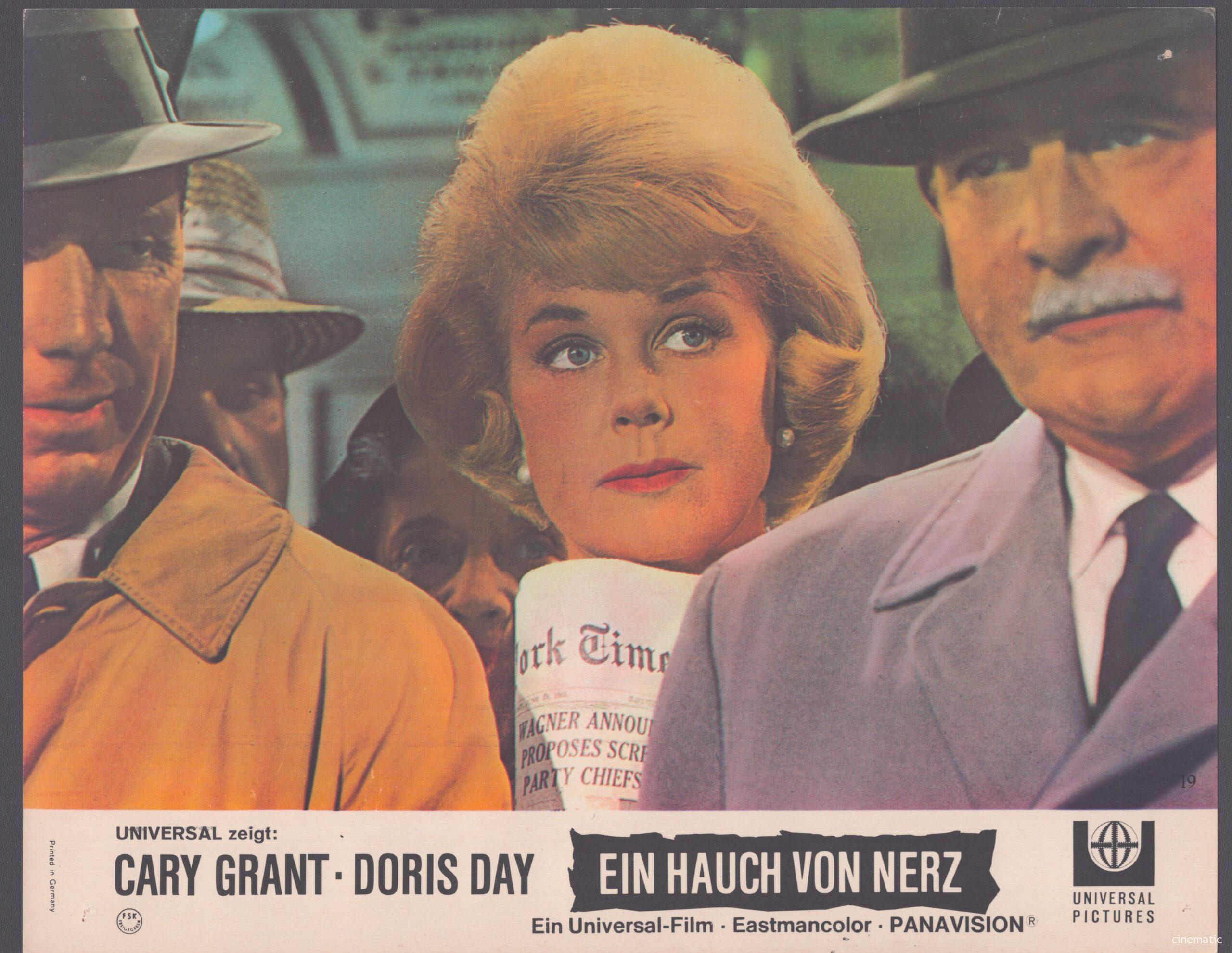 Hauch von Nerz, ein (Doris Day, Cary Grant) – Bild 14