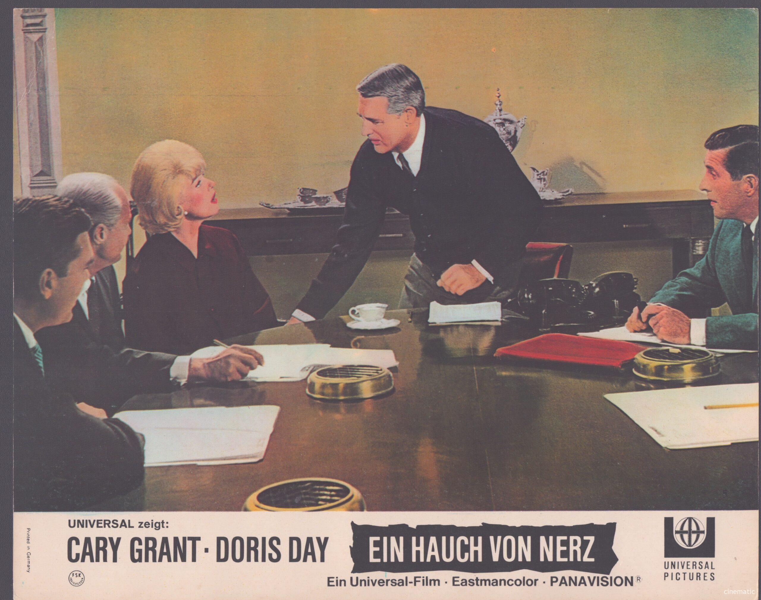 Hauch von Nerz, ein (Doris Day, Cary Grant) – Bild 11