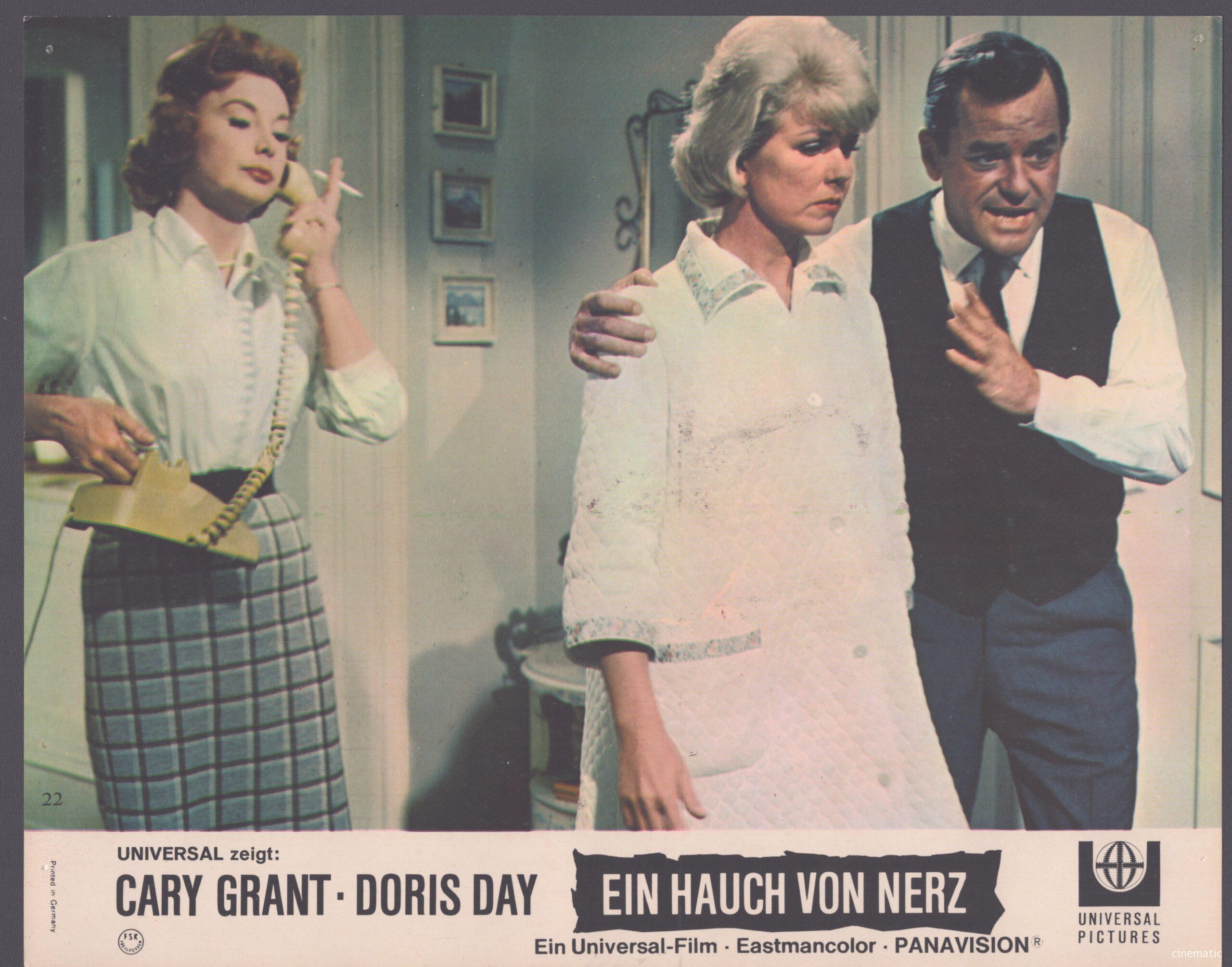Hauch von Nerz, ein (Doris Day, Cary Grant) – Bild 10