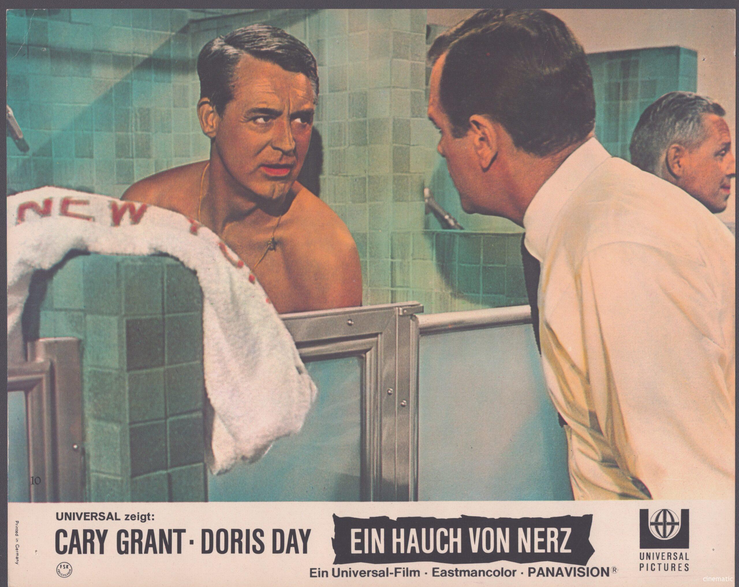 Hauch von Nerz, ein (Doris Day, Cary Grant) – Bild 9