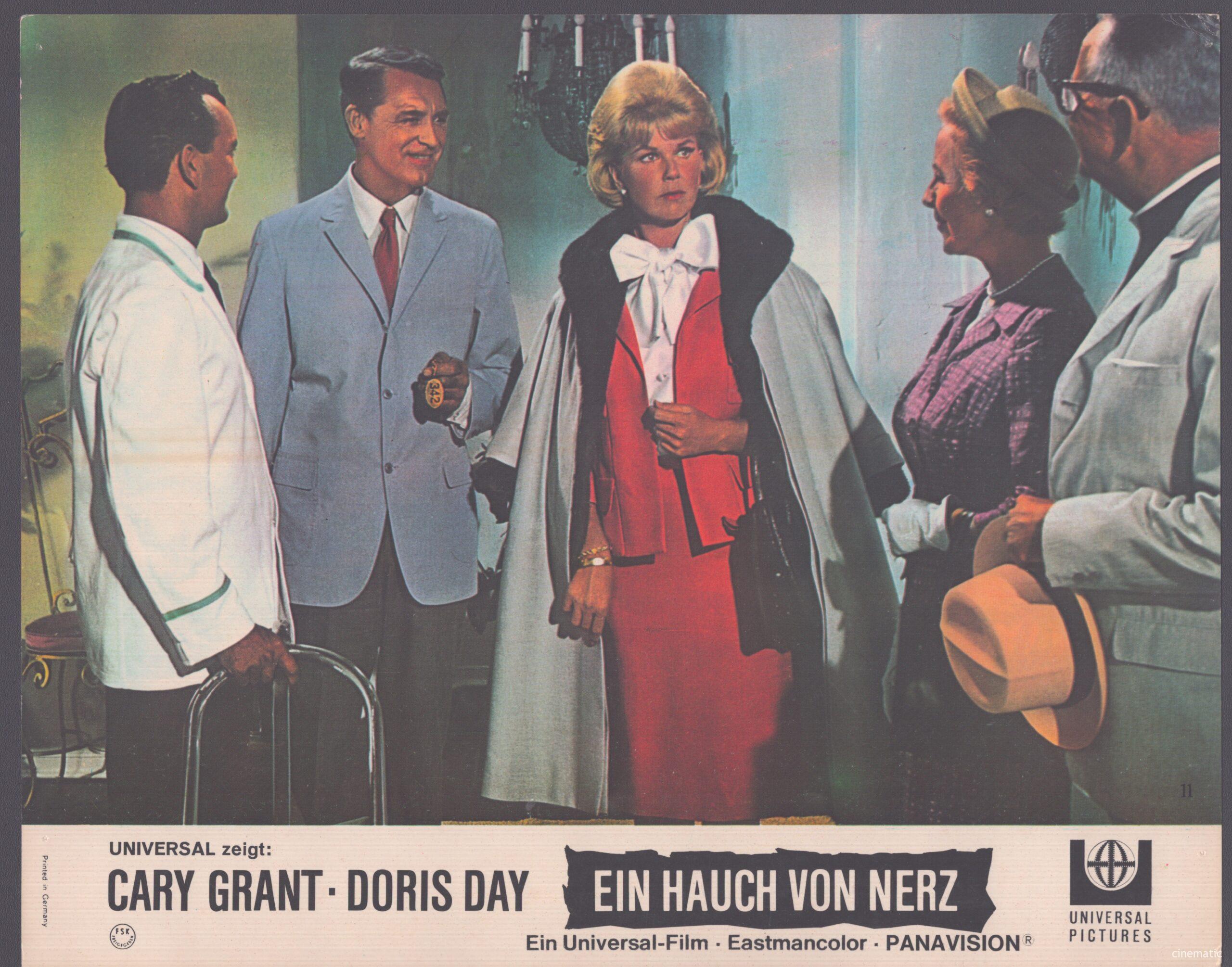 Hauch von Nerz, ein (Doris Day, Cary Grant) – Bild 8