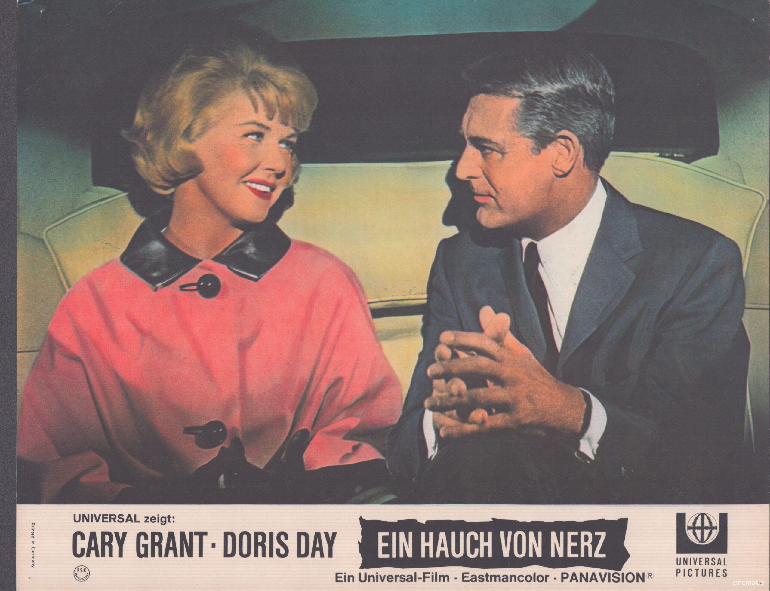 Hauch von Nerz, ein (Doris Day, Cary Grant) – Bild 7