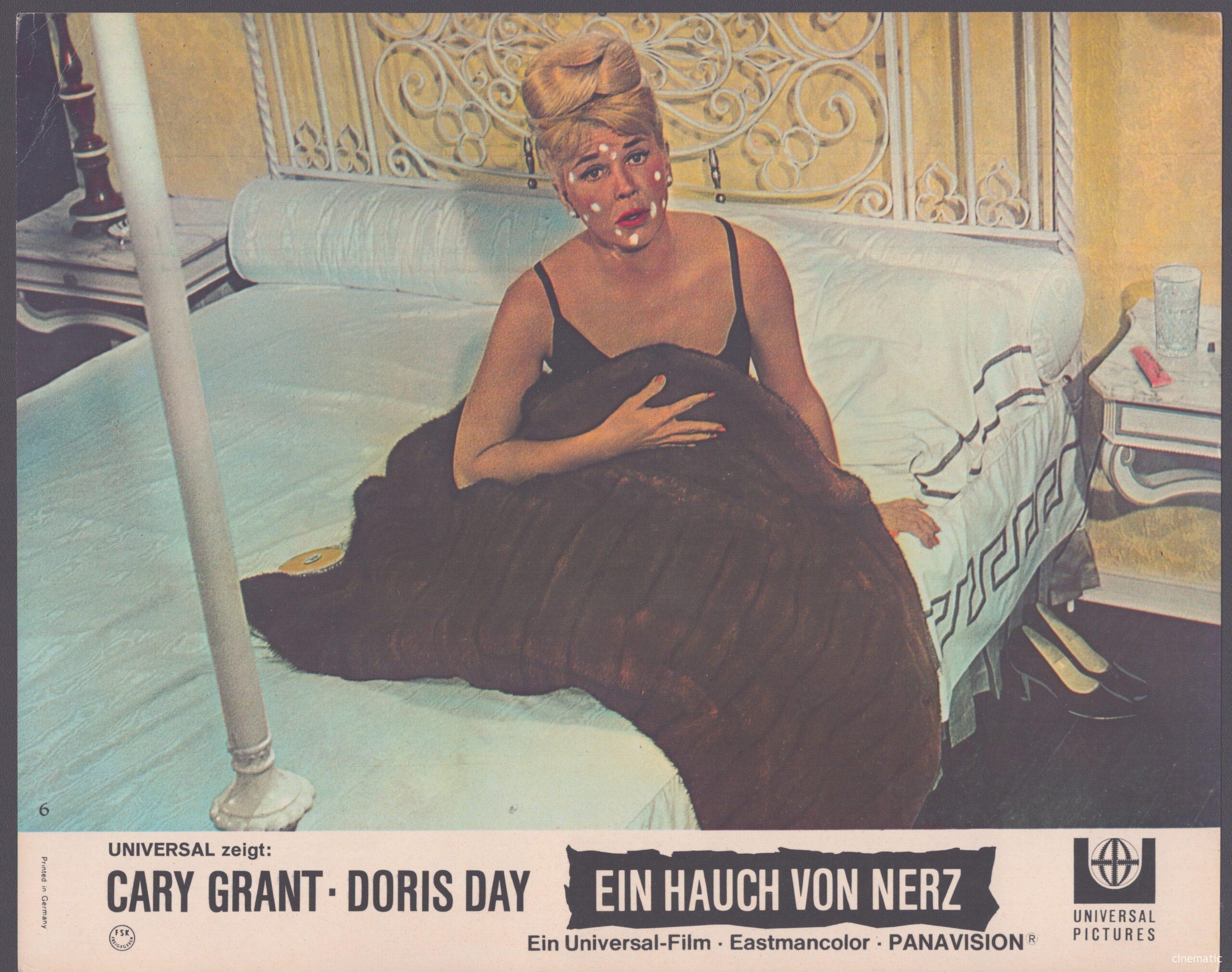 Hauch von Nerz, ein (Doris Day, Cary Grant) – Bild 6