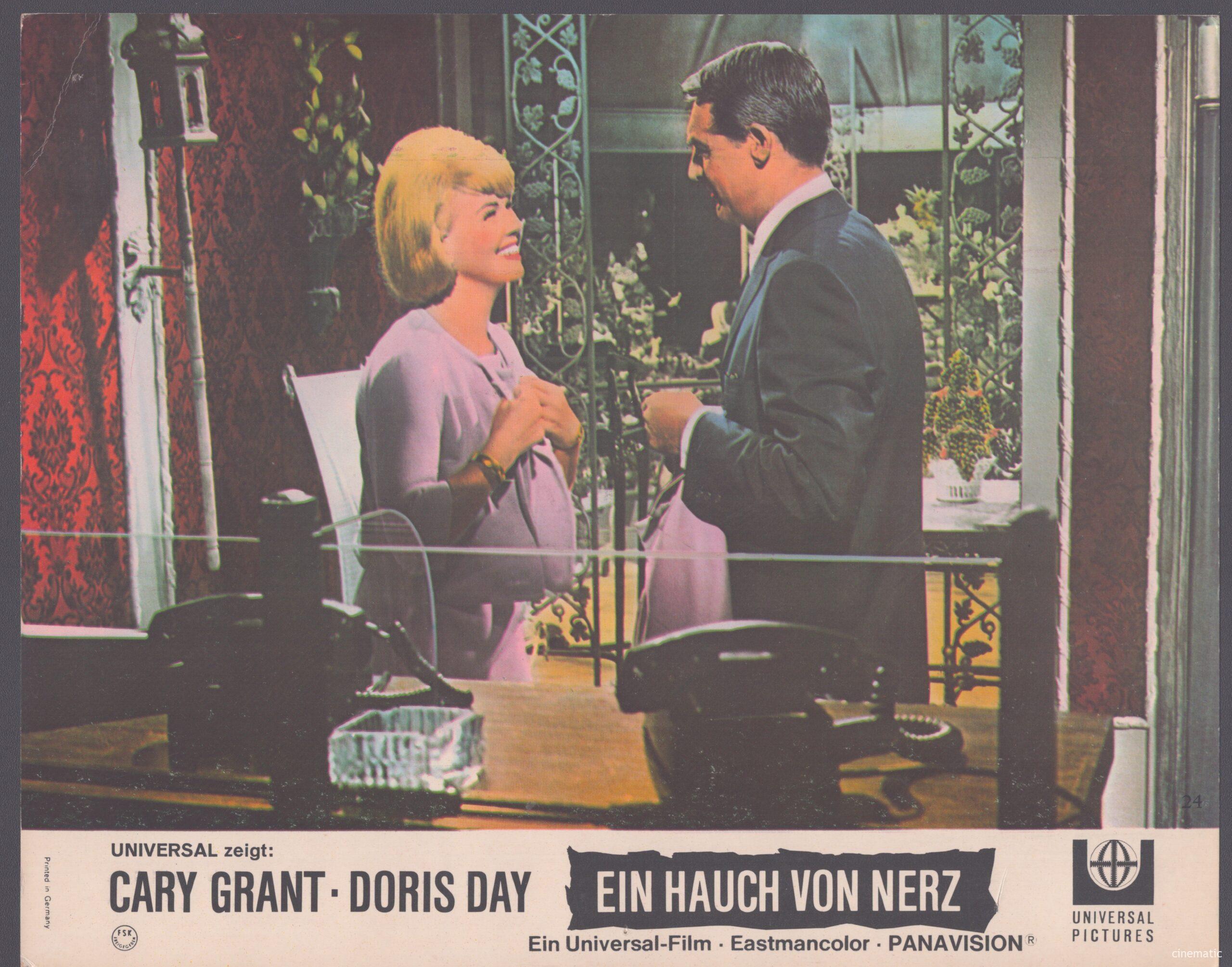 Hauch von Nerz, ein (Doris Day, Cary Grant) – Bild 5