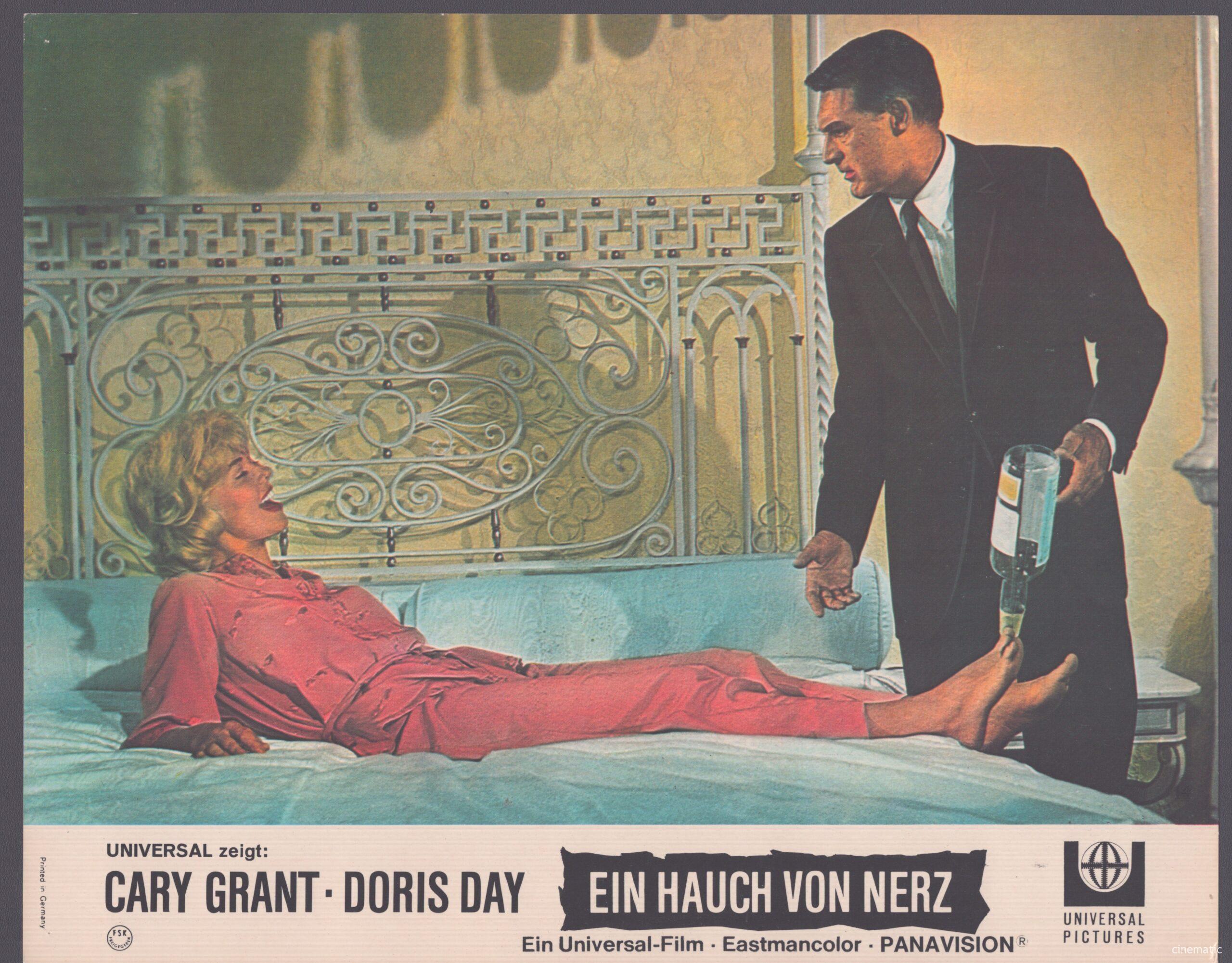 Hauch von Nerz, ein (Doris Day, Cary Grant) – Bild 3
